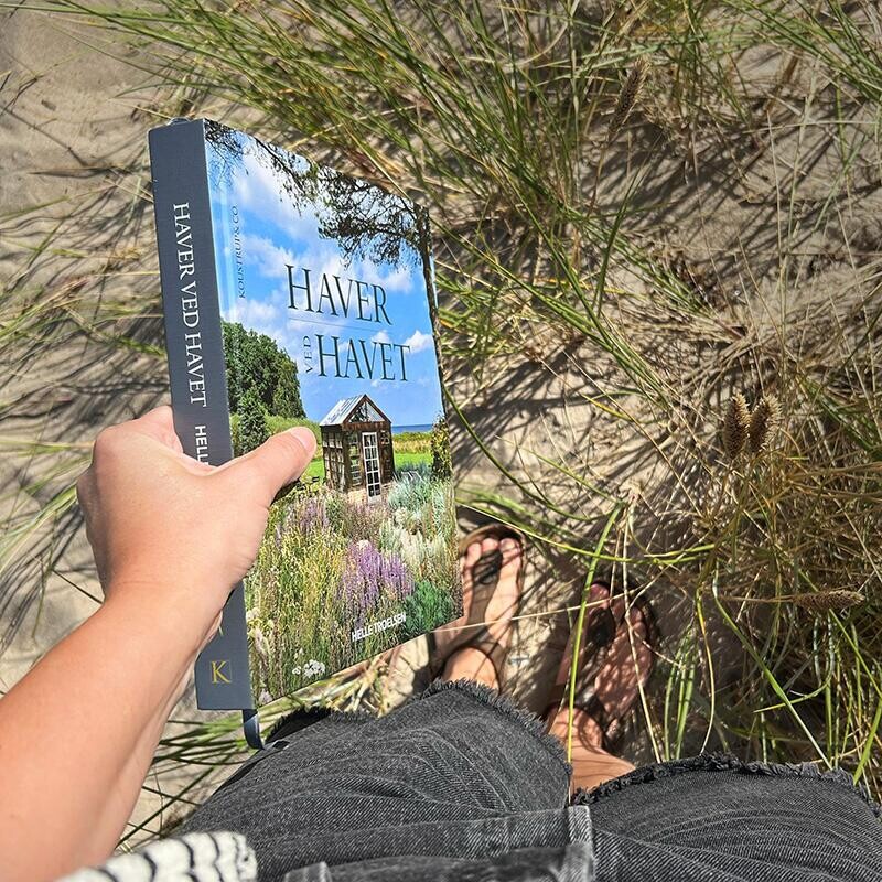 Haver Ved Havet
