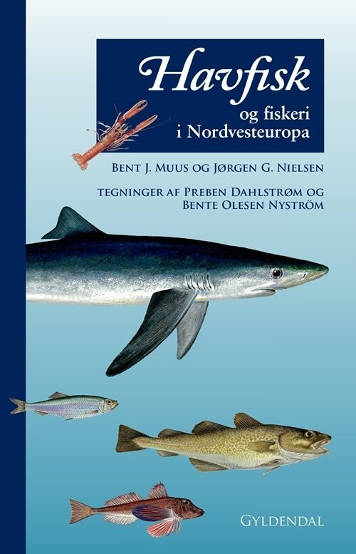 Havfisk Og Fiskeri