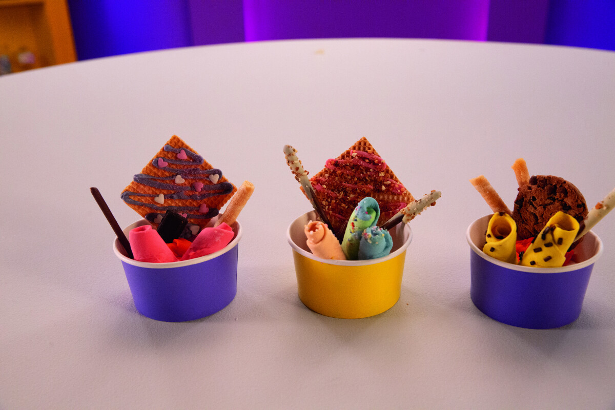 Healthy Chef - Zap Chef Ice Cream-Laboratorie - 30600