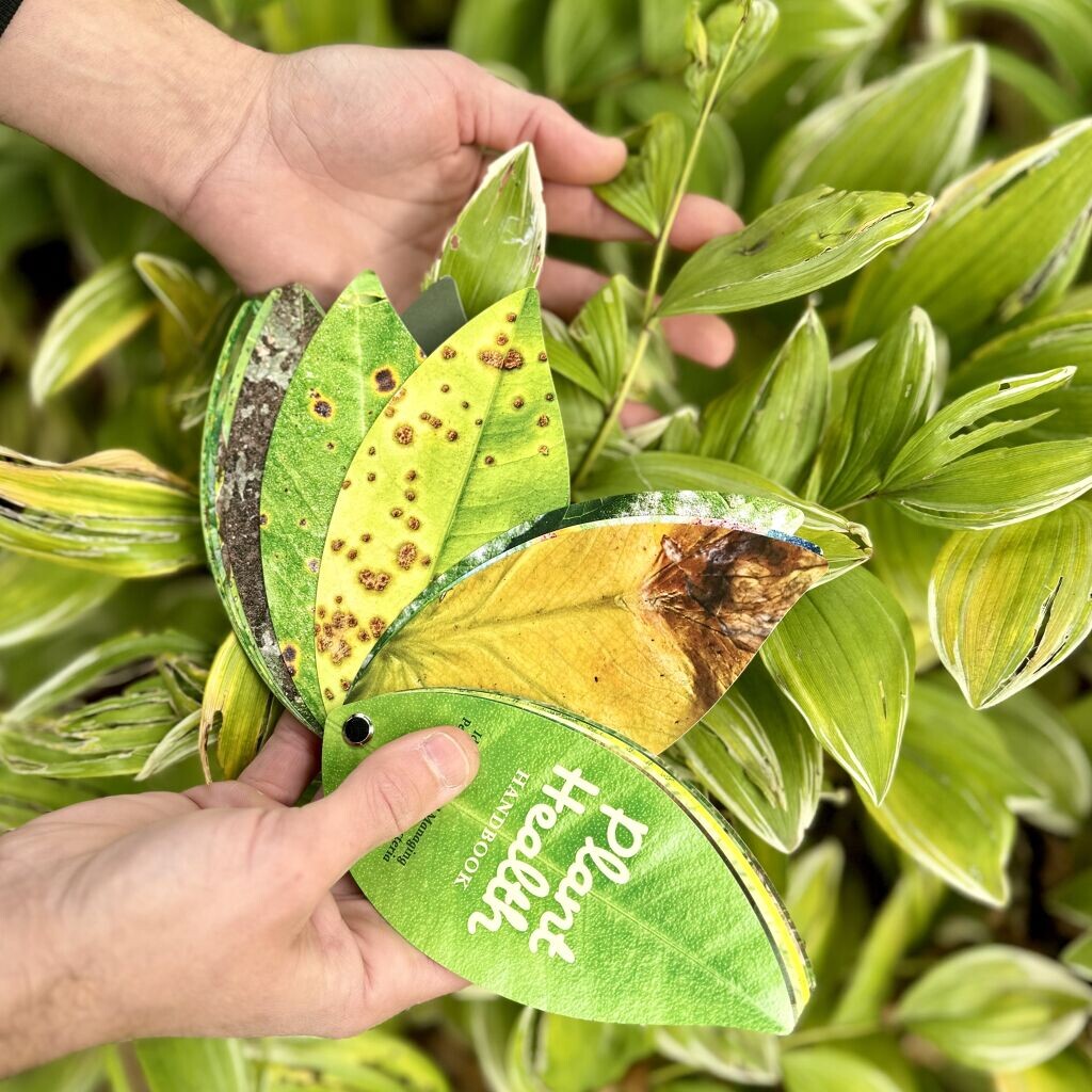 Healthy Plant Book