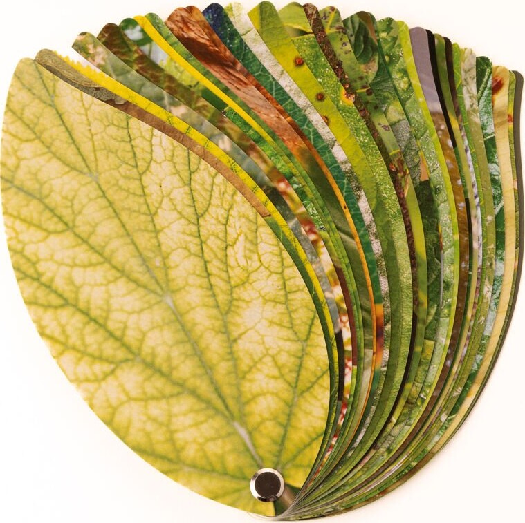 Healthy Plant Book
