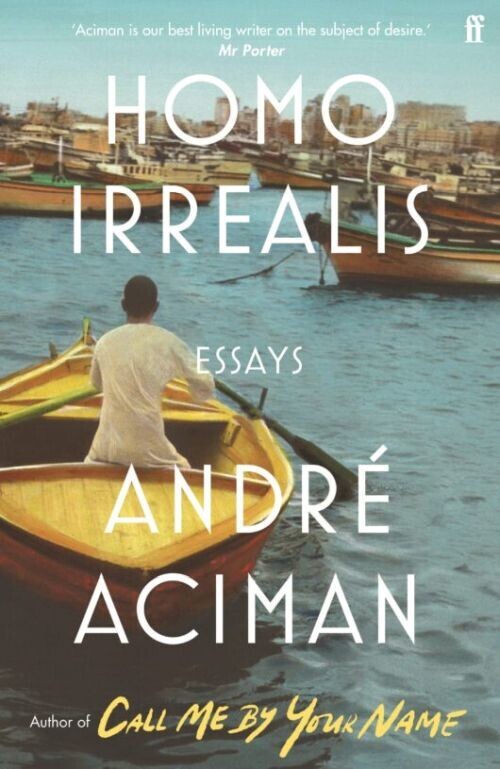 Homo Irrealis Essays
