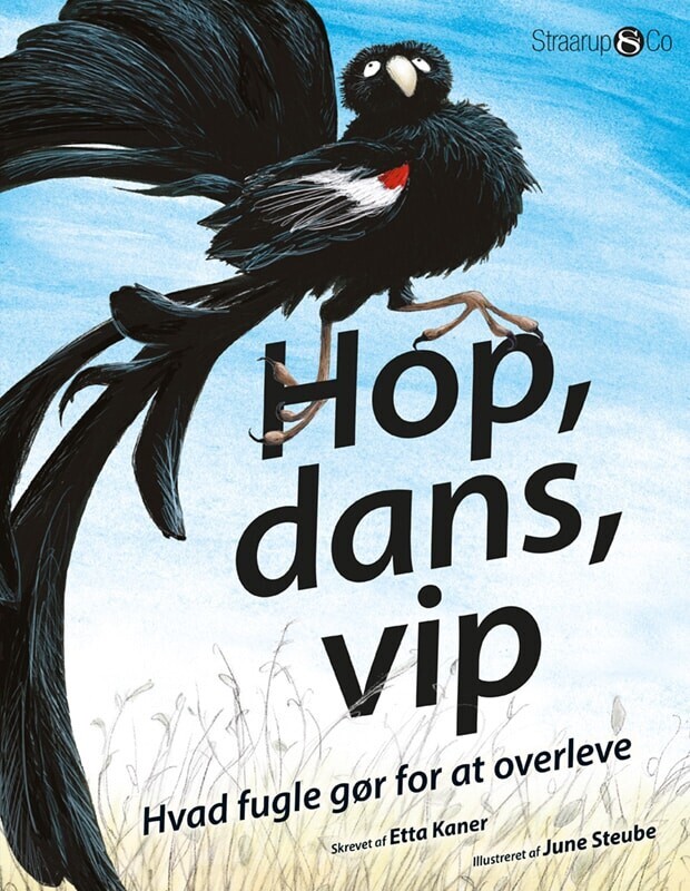 Hop Dans Vip