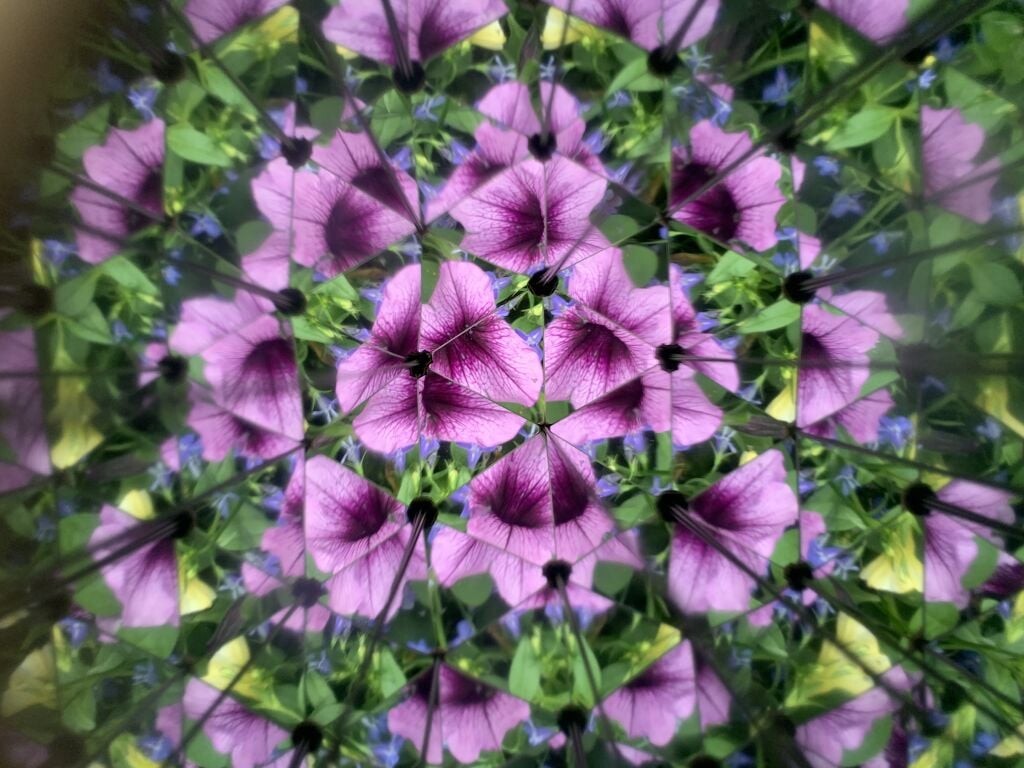 Kikkerland - Huckleberry Kalejdoskop