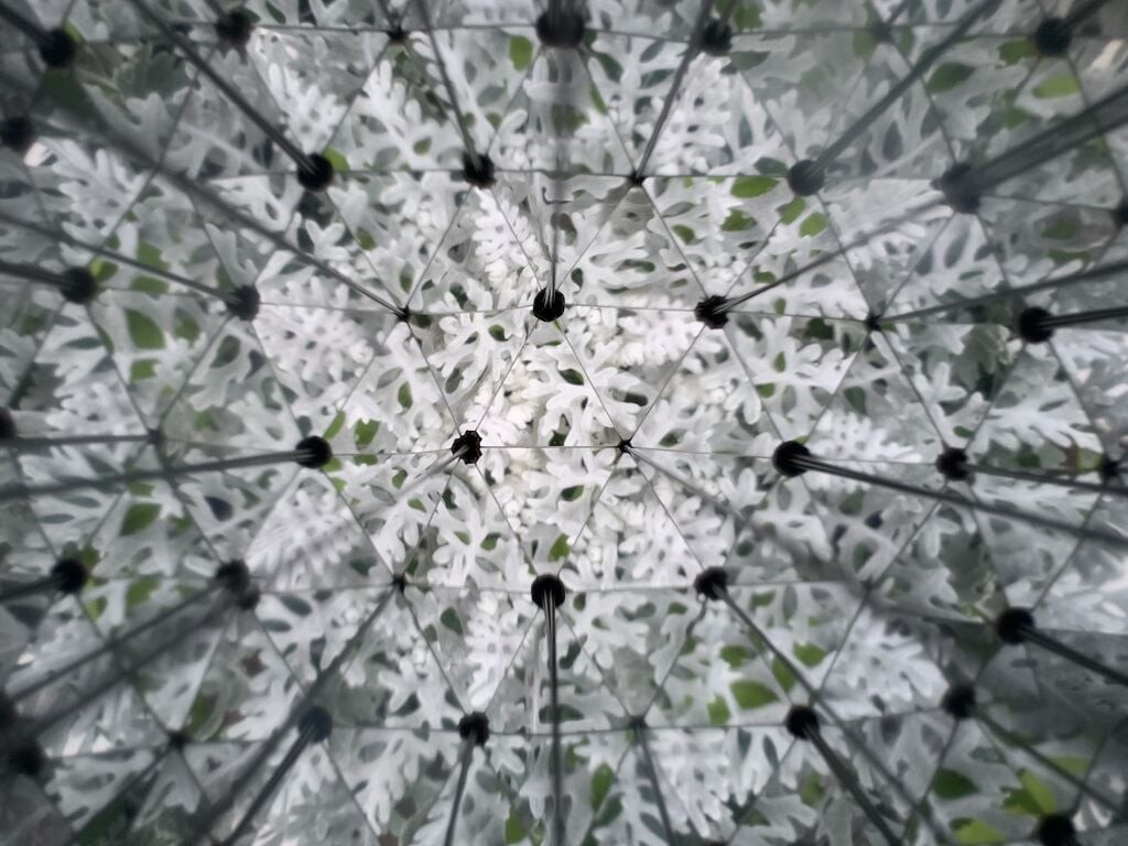 Kikkerland - Huckleberry Kalejdoskop