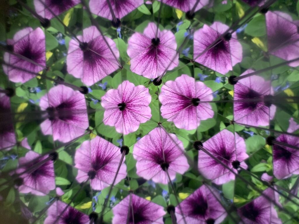 Kikkerland - Huckleberry Kalejdoskop