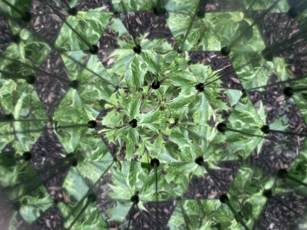 Kikkerland - Huckleberry Kalejdoskop