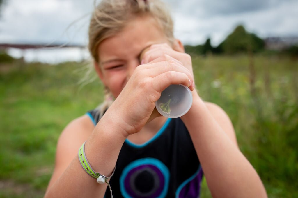 Kikkerland - Huckleberry Kalejdoskop