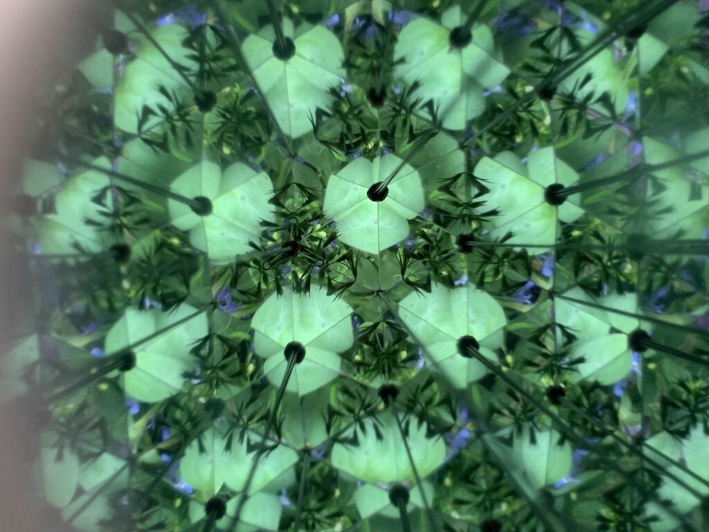 Kikkerland - Huckleberry Kalejdoskop