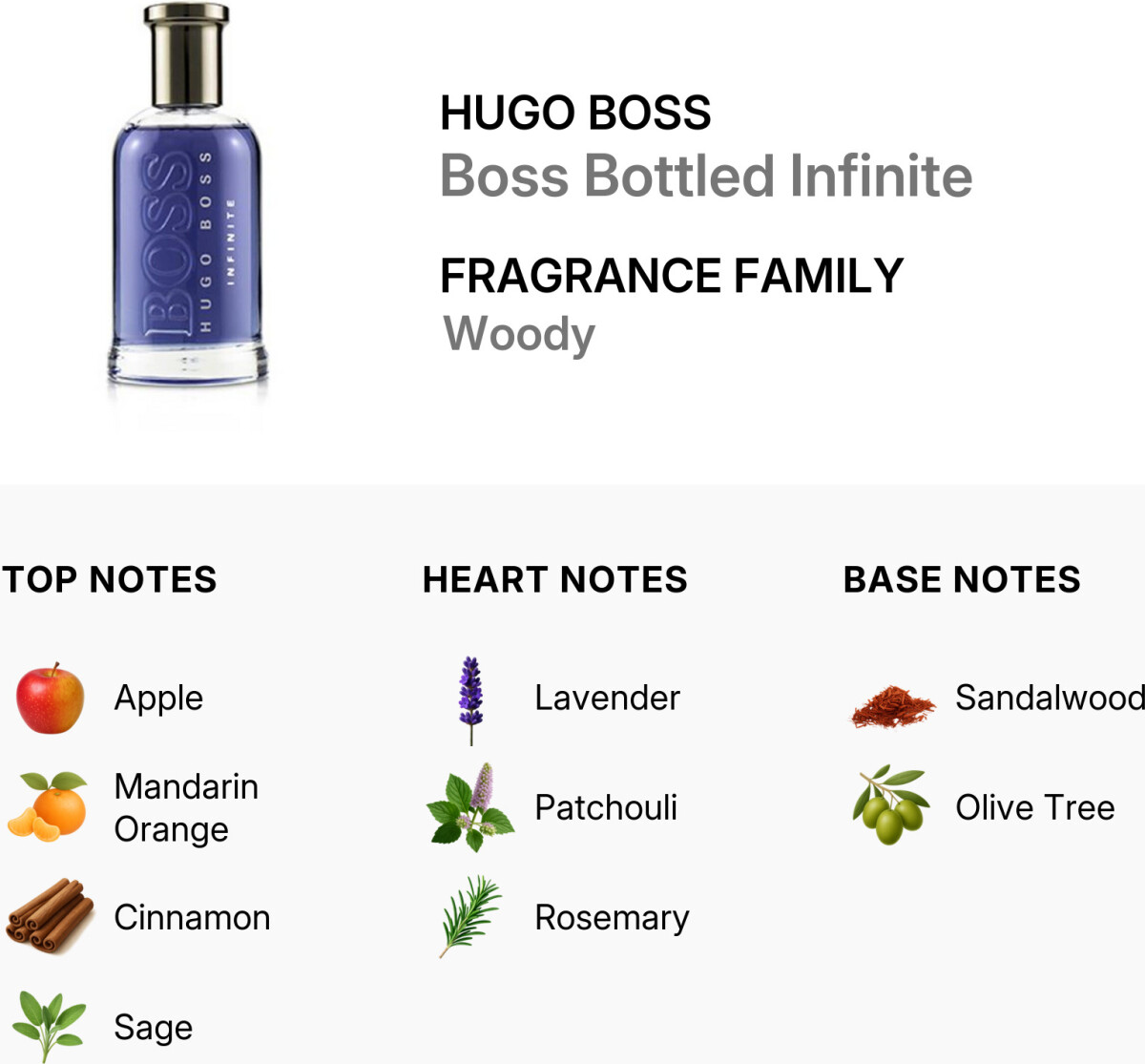 Hugo Boss Herreparfume - Boss Infinite Edp 100 Ml