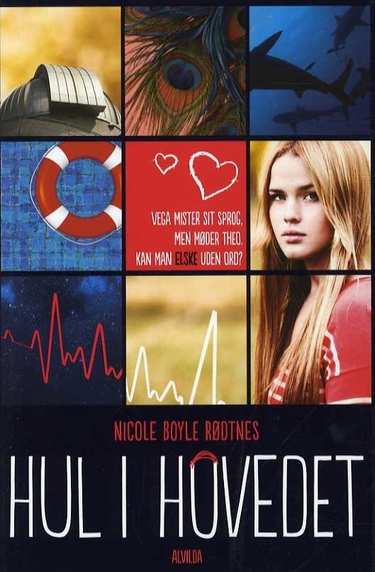 Hul I Hovedet