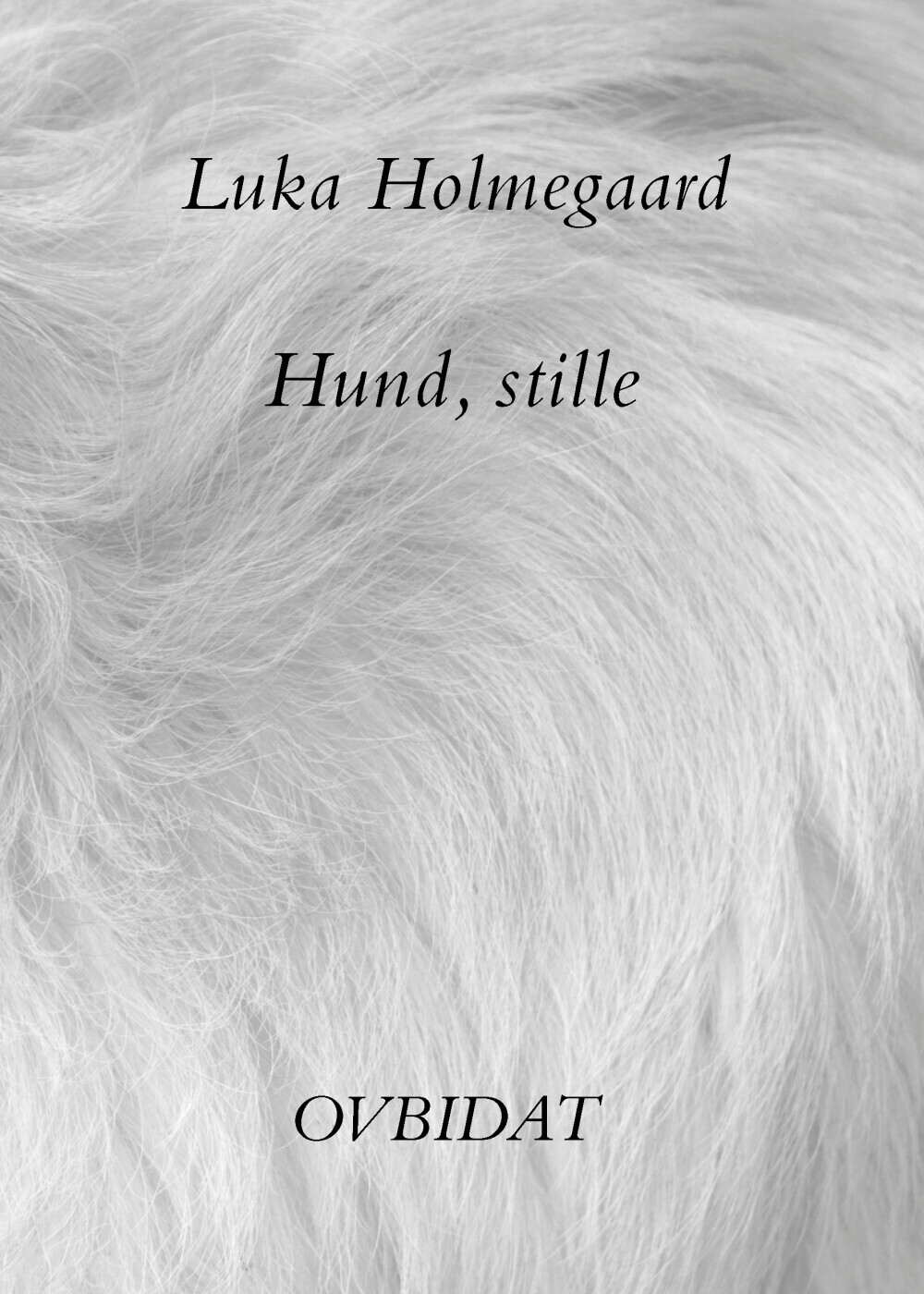 aritmetik fragment Anvendelse Hund, Stille af Luka Holmegaard - Paperback Bog - Gucca.dk