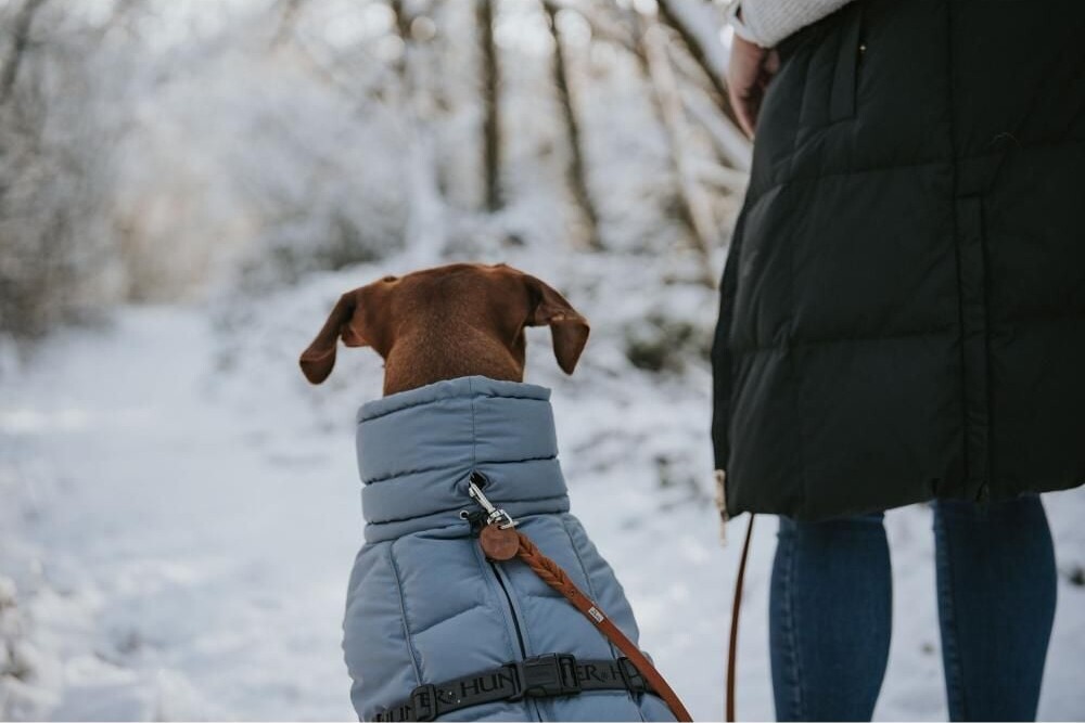 Hunter - Hundefrakke Dogcoat Paxson 40 Blå