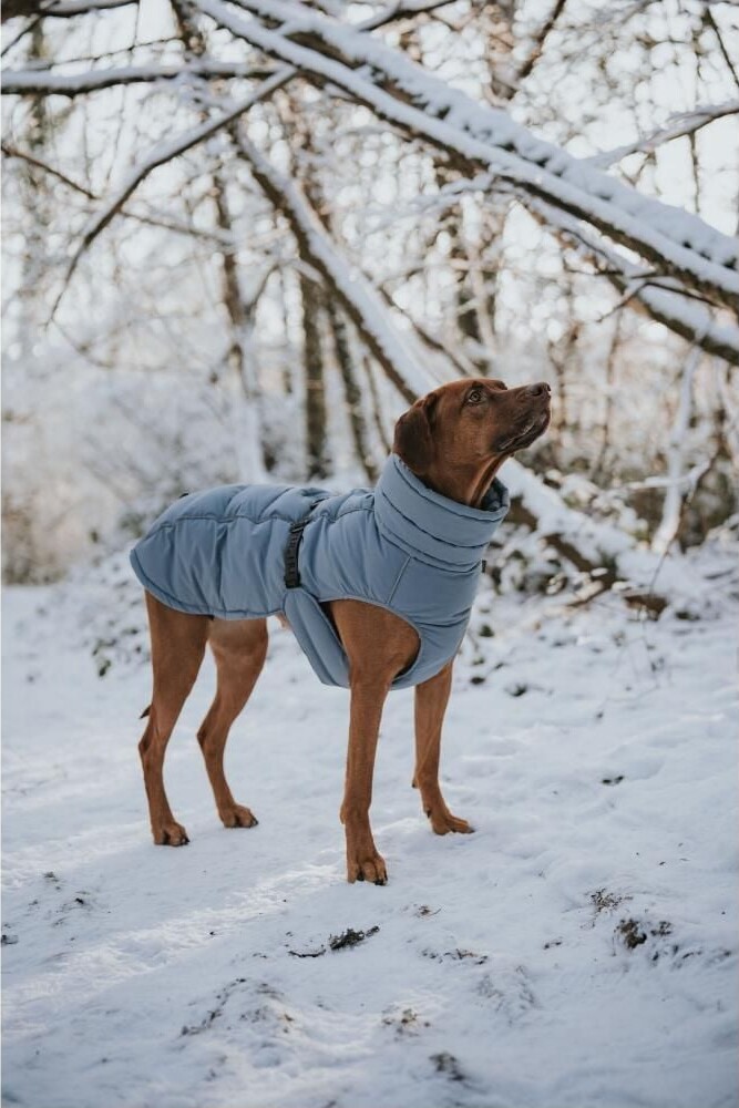 Hunter - Hundefrakke Dogcoat Paxson 40 Blå