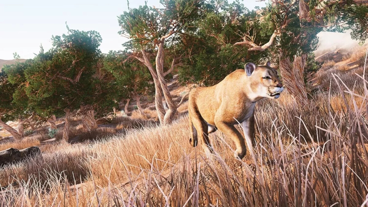 Hunting Simulator - Kode I Boks
