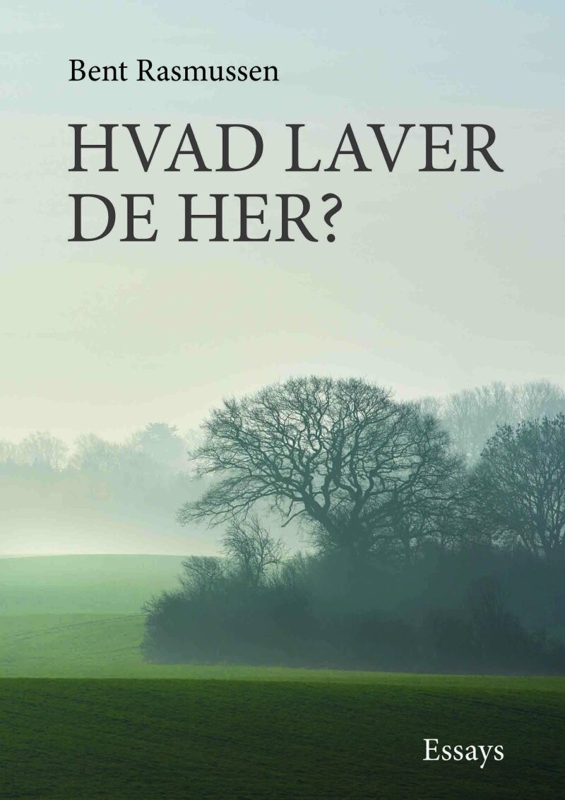 Hvad Laver De Her