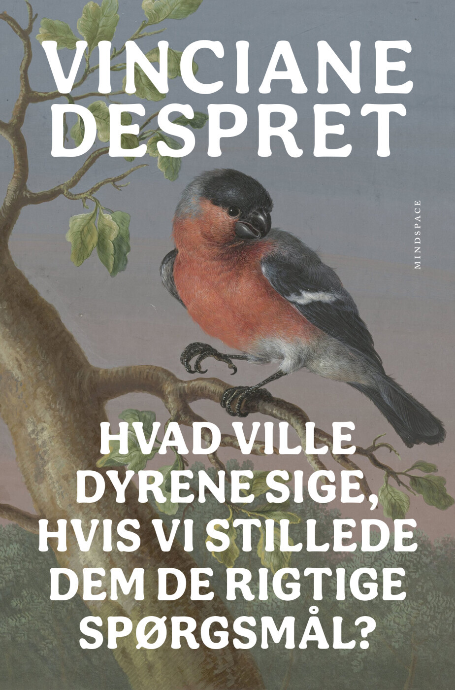Hvad Ville Dyrene Sige Hvis Vi Stillede Dem De Rigtige Spørgsmål