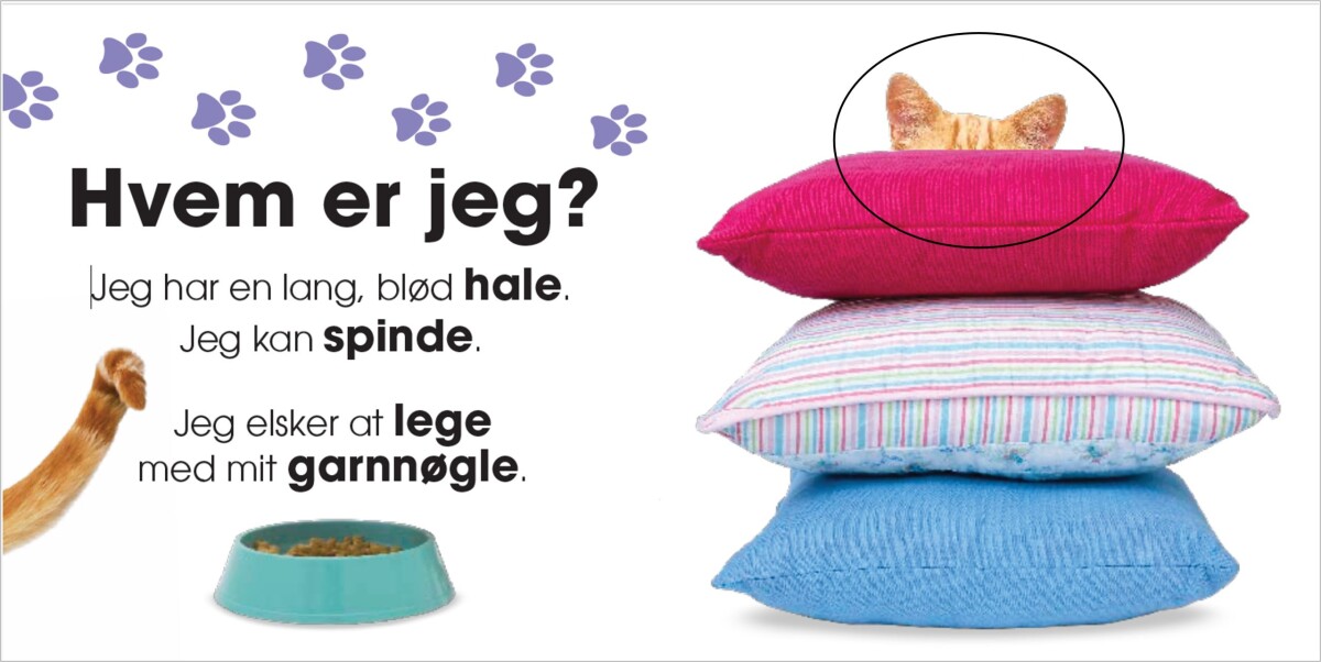 Hvem Er Jeg Kæledyr