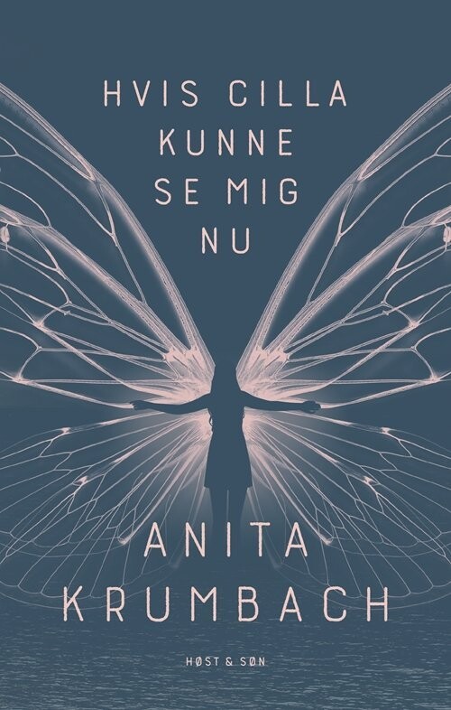 Hvis Cilla Kunne Se Mig Nu