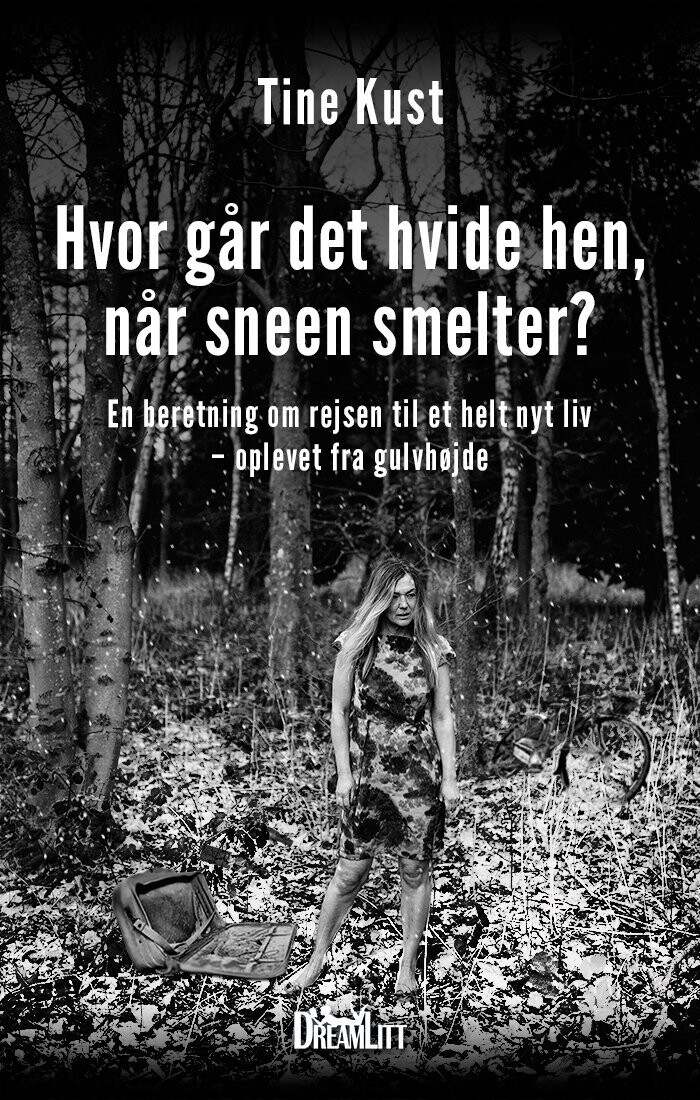 Hvor Går Det Hvide Hen Når Sneen Smelter