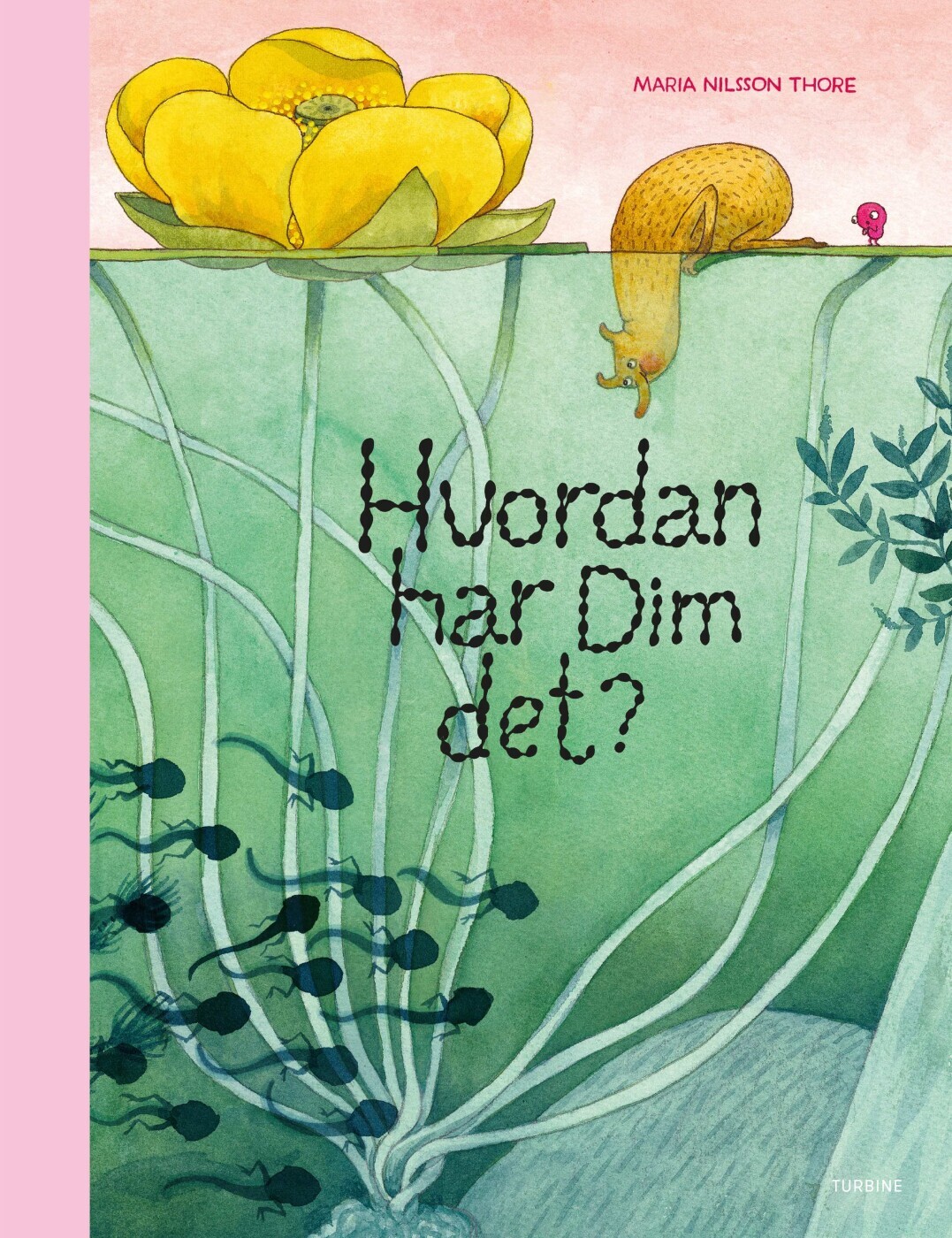 Hvordan Har Dim Det