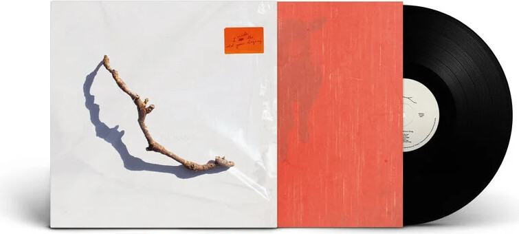 Pj Harvey - I Inside The Old Year Dying