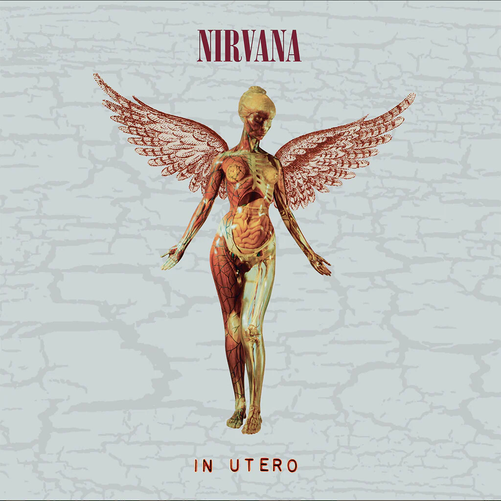 Nirvana - In Utero - Super Deluxe Edition