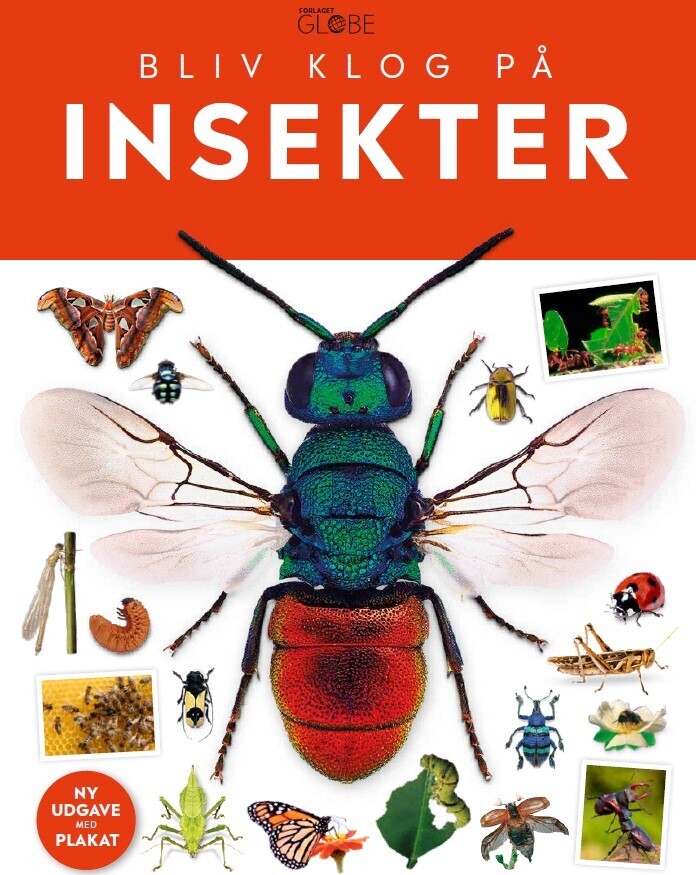 Bliv Klog På Insekter