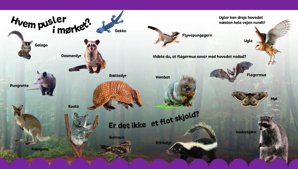 Jeg Lærer Ord Om Dyr