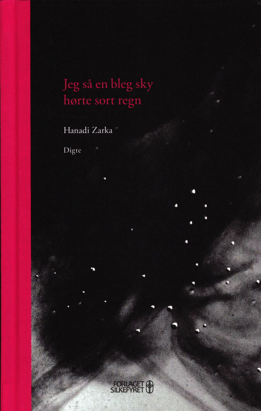 Jeg Så En Bleg Sky Hørte Sort Regn