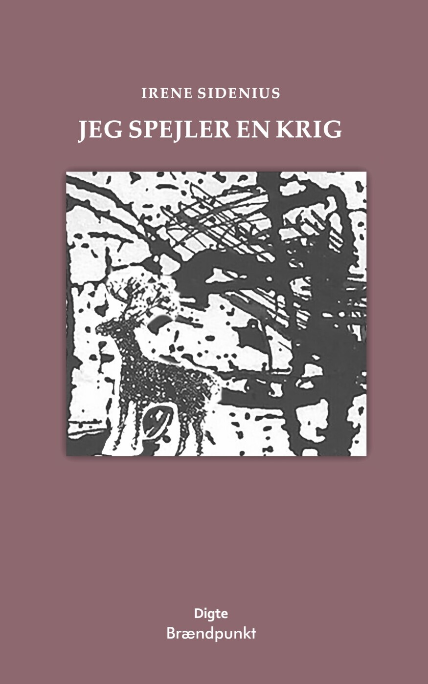 Jeg Spejler En Krig