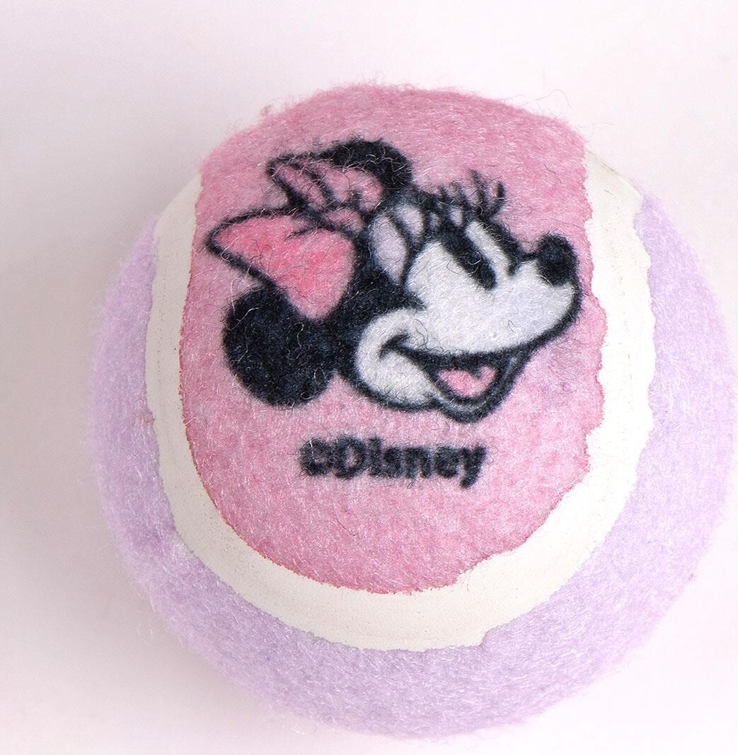 Minnie Mouse - Hundeskål Sæt - Inkl Kastebold Og Bidelegetøj