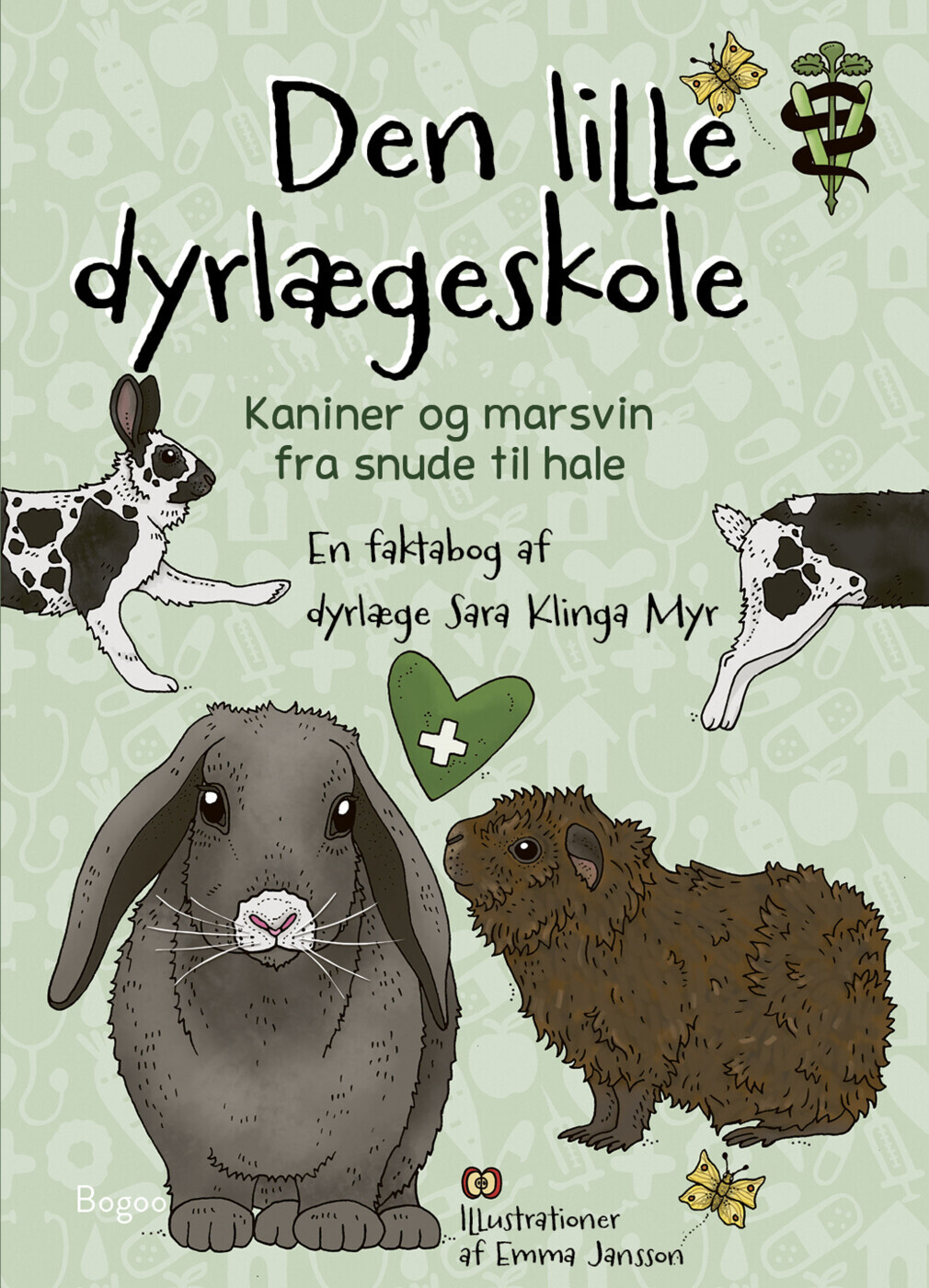 Kaniner Og Marsvin Fra Snude Til Hale
