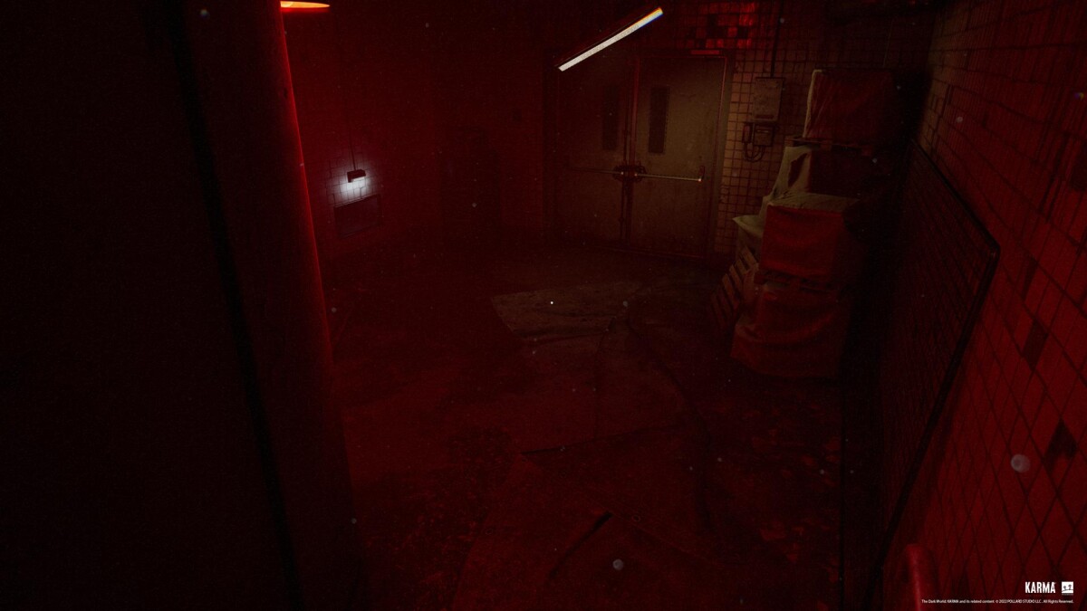 Karma The Dark World Limited Edition