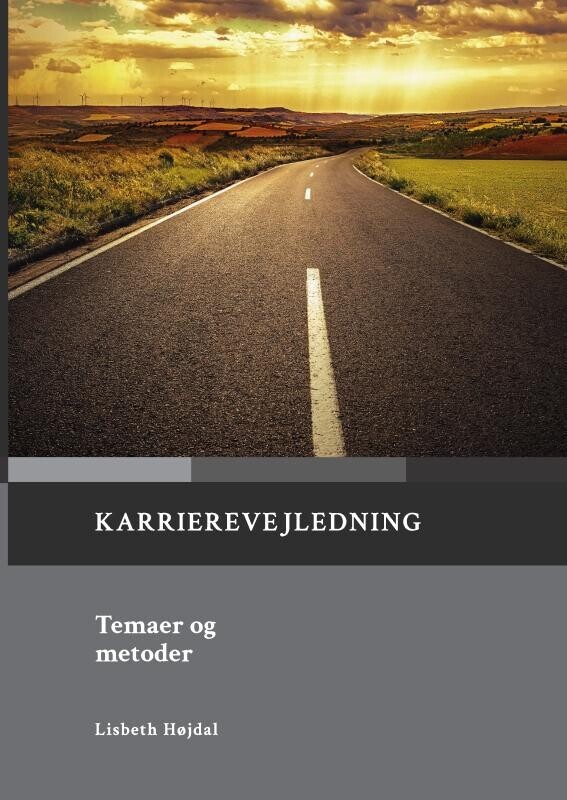 Karrierevejledning Temaer Og Metoder