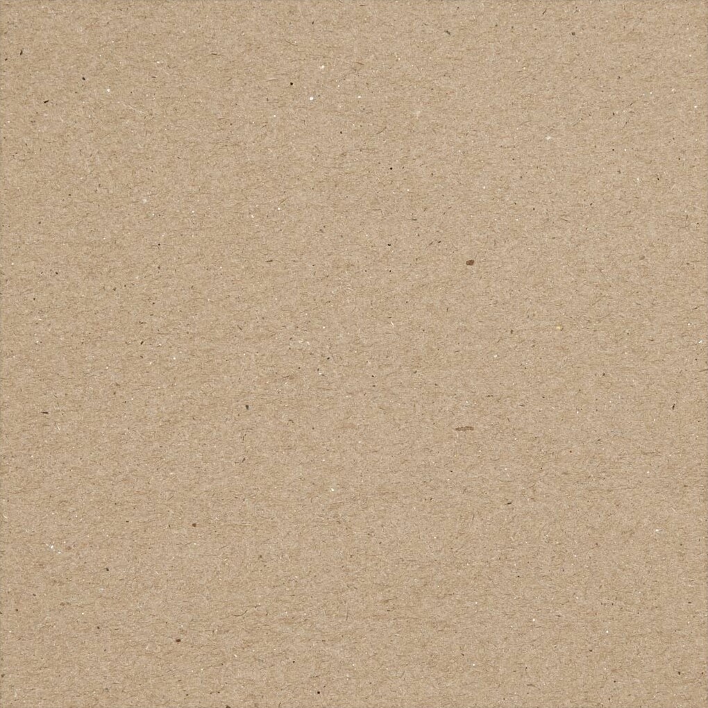 Karton - A4 - 210X297 Mm - 220 G - Natur - 10 Stk