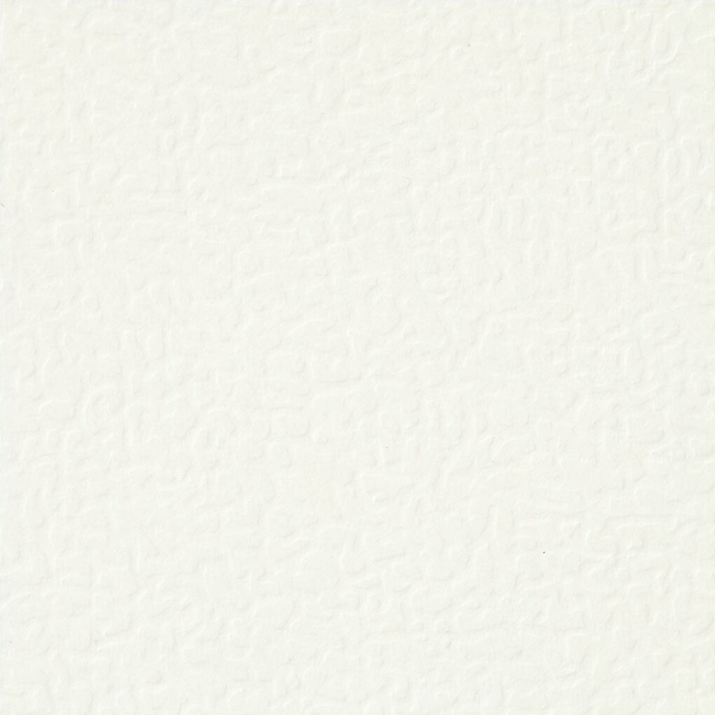 Karton - A4 - 210X297 Mm - 220 G - Råhvid - 10 Stk