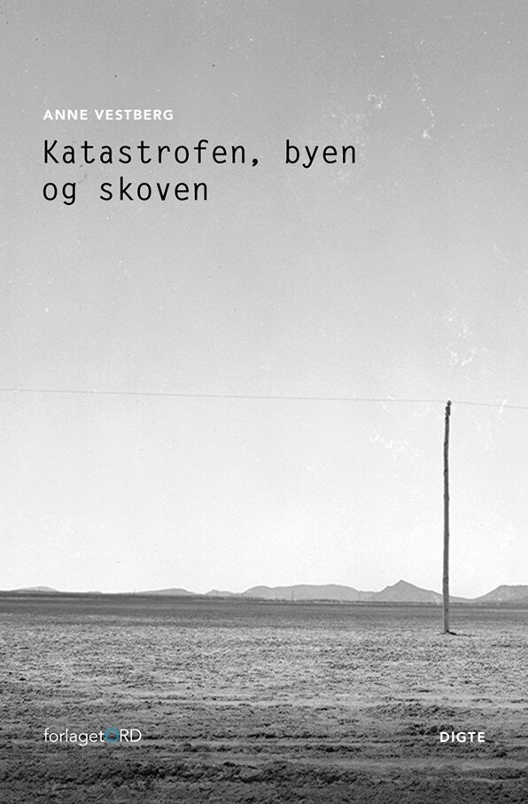 Katastrofen Byen Og Skoven