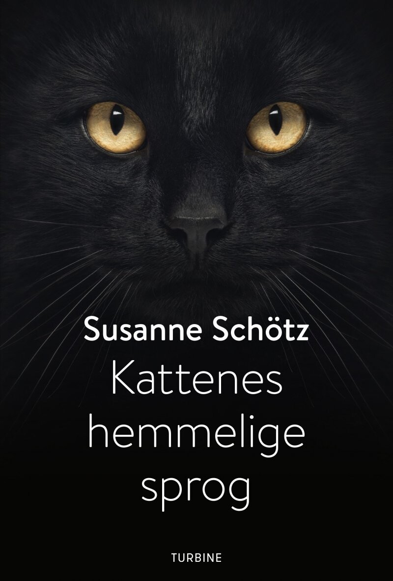 Kattenes Hemmelige Sprog