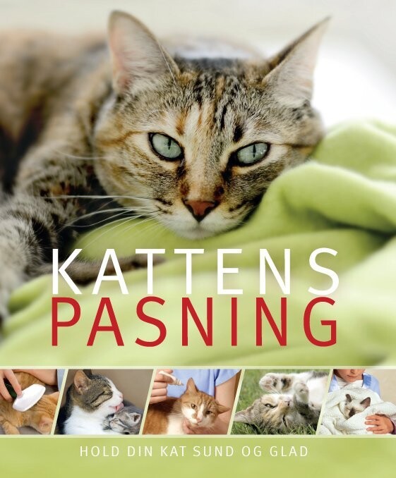 Kattens Pasning af Ann - Paperback Bog - Gucca.dk
