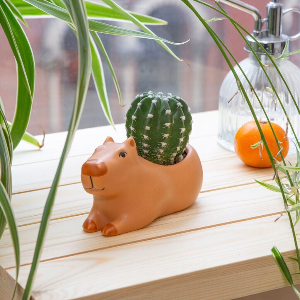 Kikkerland - Urtepotteskjuler - Cappy The Capybara Planter