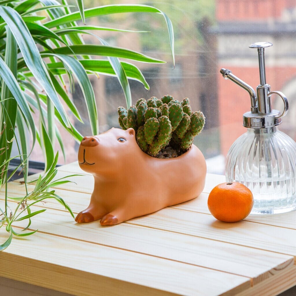Kikkerland - Urtepotteskjuler - Cappy The Capybara Planter - Stor
