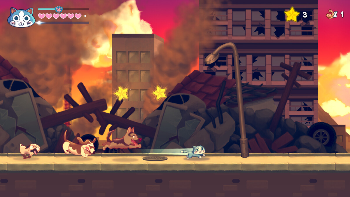 Kinnikuneko Super Muscle Cat Purrrrfect Edition Collector S Edition