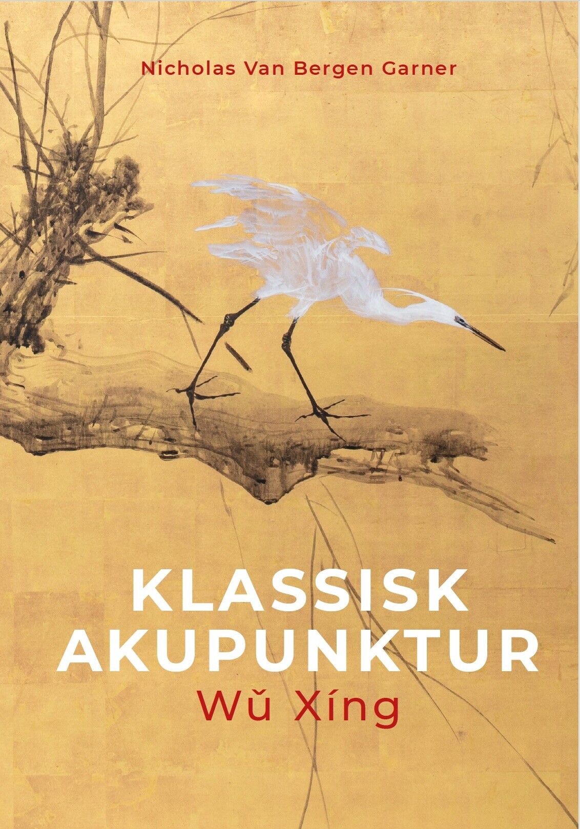 Klassisk Akupunktur