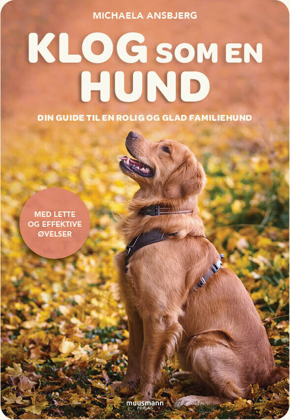 Klog Som En Hund