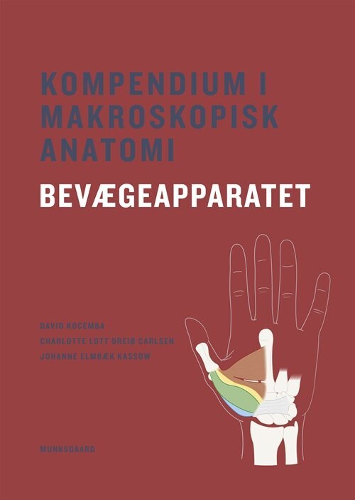 Kompendium I Makroskopisk Anatomi - Bevægeapparatet
