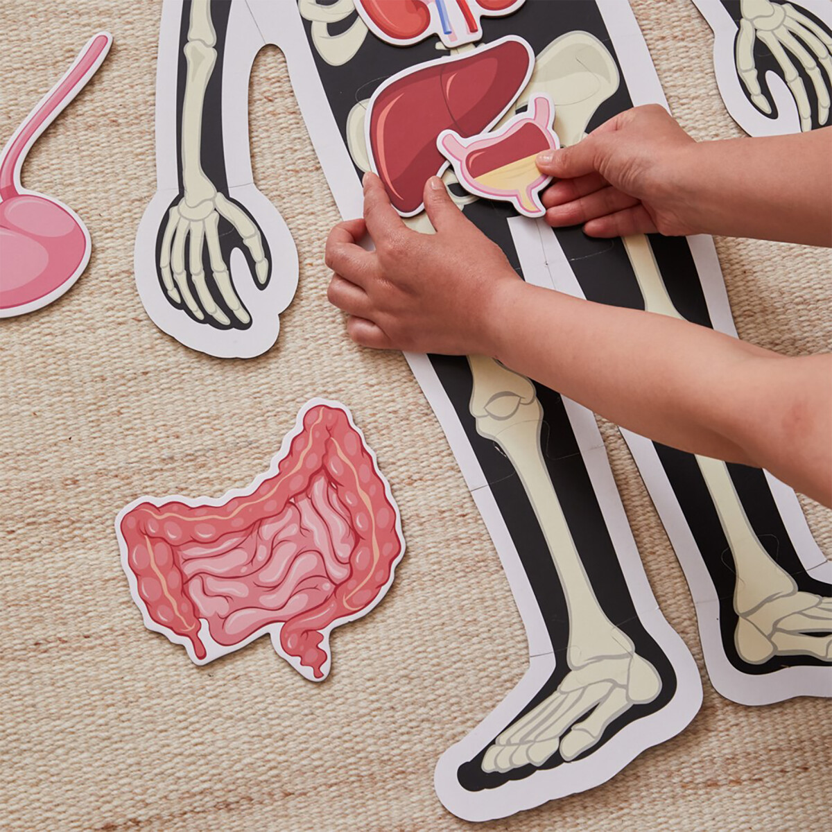 Gulvpuslespil Om Kroppen - Dreng