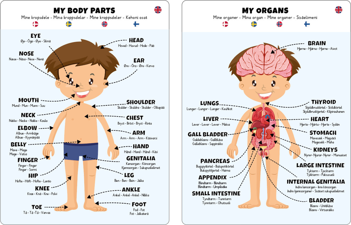Gulvpuslespil Om Kroppen - Dreng