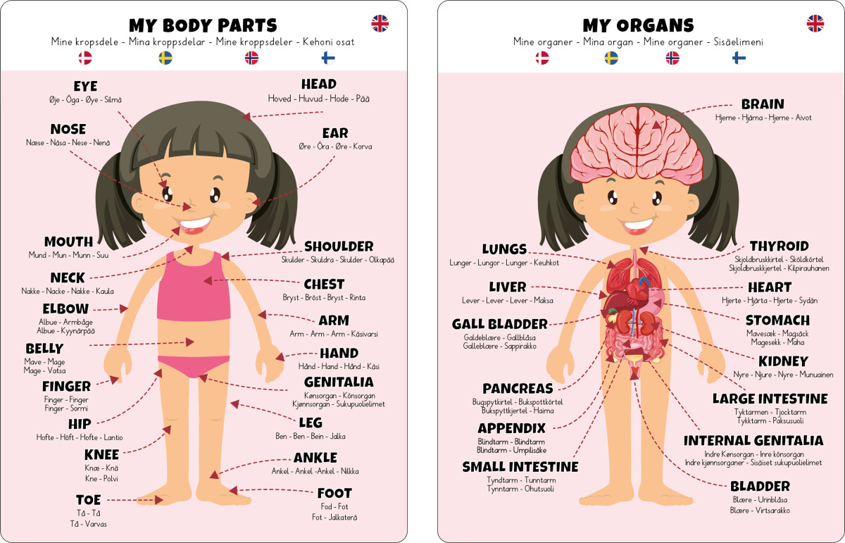 Gulvpuslespil Om Kroppen - Pige