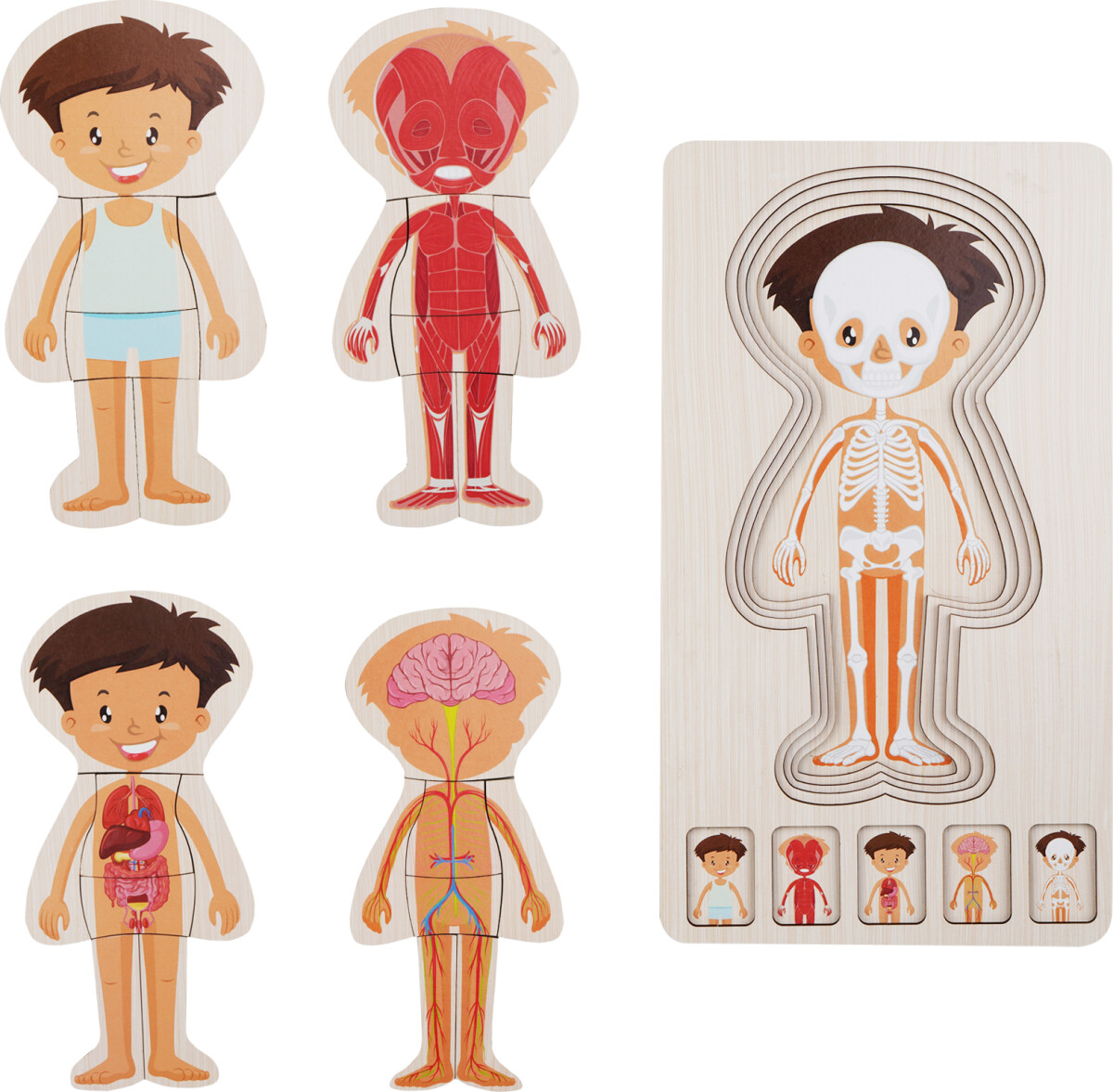 Træpuslespil I Ramme - Flere Lag - Drengekrop - Barbo Toys